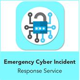 Emergency Cyber Incident Response Service