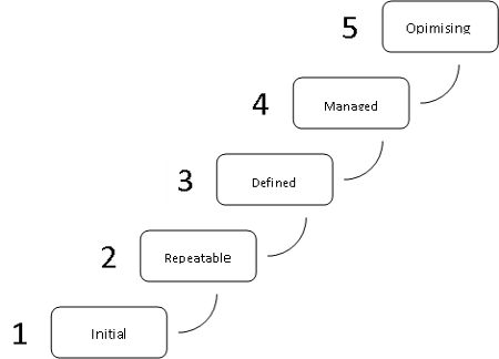 Maturity Model with 5 Levels