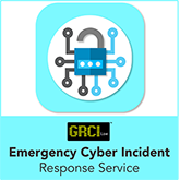 Cyber Incident Response - Emergency Support