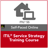 ITIL Service Strategy Online Course (150 days)