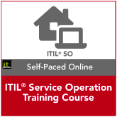 ITIL Service Operation Online Course (150 days)